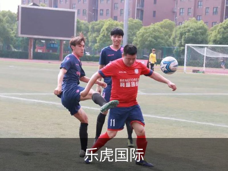乐虎国际品牌故事